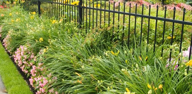 Types of fences suitable for flower gardens fences for flower gardens Types of fences suitable for flower gardens fences for flower gardens