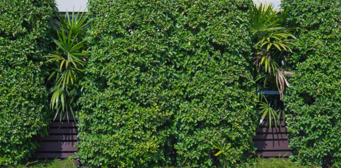 Types of fences suitable for small gardens fences for small gardens Types of fences suitable for small gardens fences for small gardens