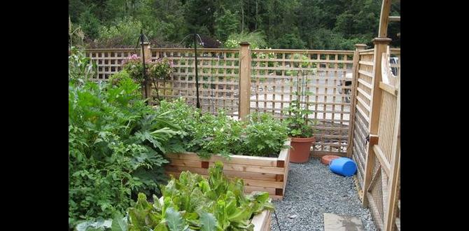 Types of fences suitable for vegetable gardens fences for vegetable gardens Types of fences suitable for vegetable gardens fences for vegetable gardens