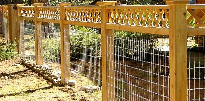 Types of fencing materials fencing ideas for vegetable gardens Types of fencing materials fencing ideas for vegetable gardens