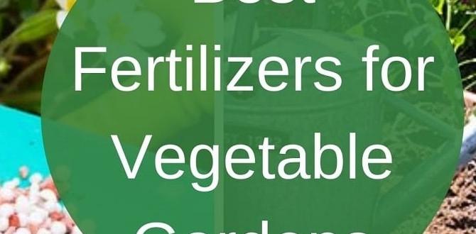 Types of fertilizers what's the best fertilizer for gardens Types of fertilizers what's the best fertilizer for gardens