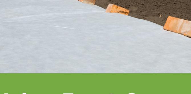 Types of frost covers frost covers for gardens Types of frost covers frost covers for gardens