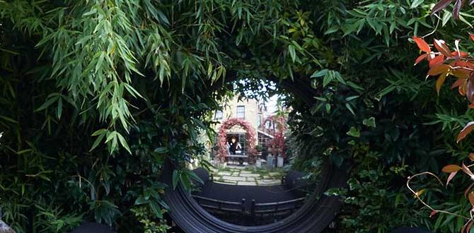 Types of garden arches arches for gardens Types of garden arches arches for gardens
