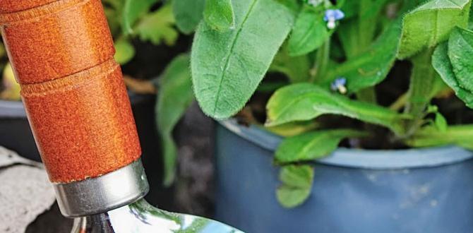 Types of gardening activities gardening activities for adults Types of gardening activities gardening activities for adults