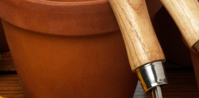 Types of gardening kits gardening kits for beginners Types of gardening kits gardening kits for beginners