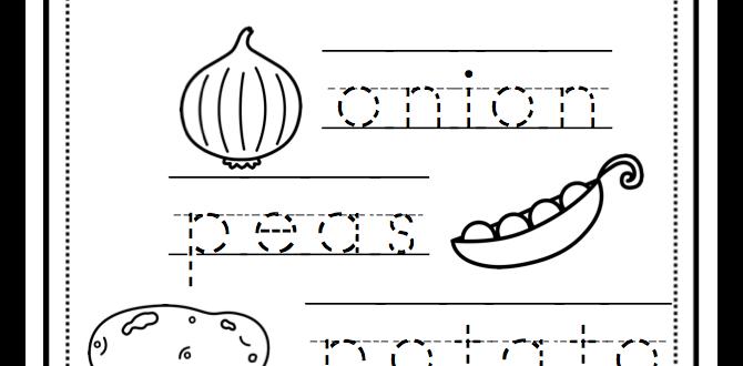 Types of gardening worksheets gardening worksheets for preschoolers Types of gardening worksheets gardening worksheets for preschoolers