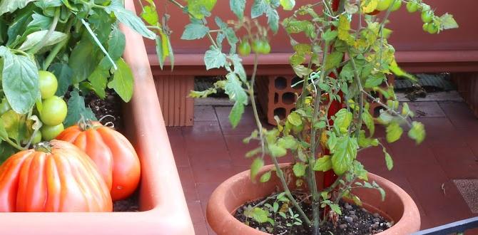Types of gardens for selfsufficiency gardening for self sufficiency Types of gardens for selfsufficiency gardening for self sufficiency