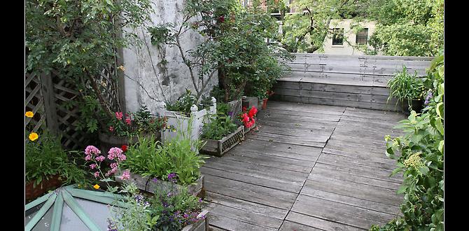 Types of gardens suitable for apartments gardens for apartments Types of gardens suitable for apartments gardens for apartments