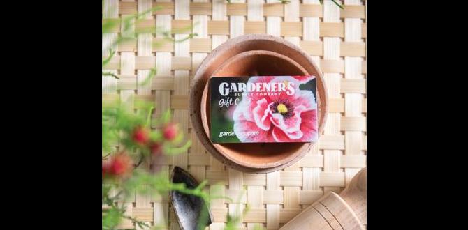 Types of gift cards for gardeners gift cards for gardeners Types of gift cards for gardeners gift cards for gardeners