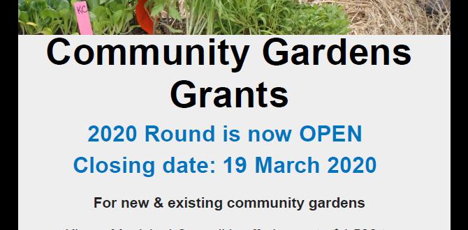 Types of grants available grants for community gardens Types of grants available grants for community gardens