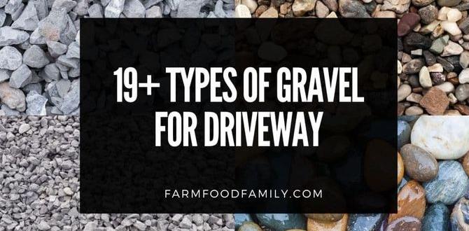 Types of gravel suitable for gardening gravel for gardening