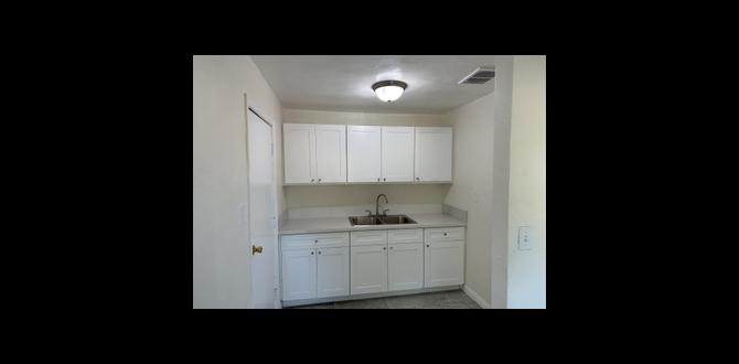 Types of houses available for rent houses for rent in bell gardens ca Types of houses available for rent houses for rent in bell gardens ca