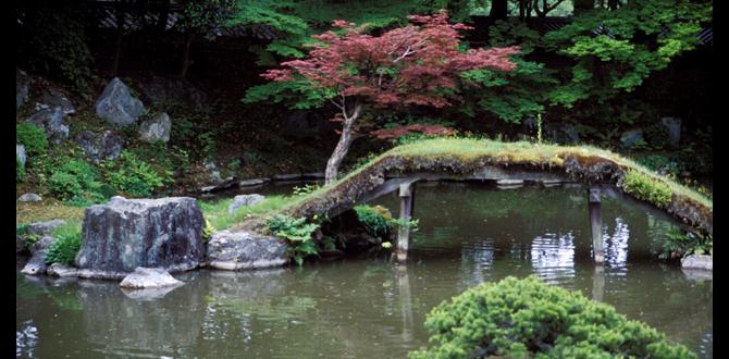 Types of japanese bridges japanese bridges for gardens Types of japanese bridges japanese bridges for gardens