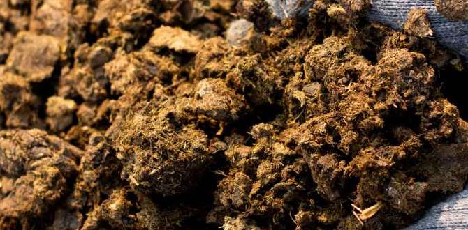 Types of manure and their benefits manure for gardening Types of manure and their benefits manure for gardening