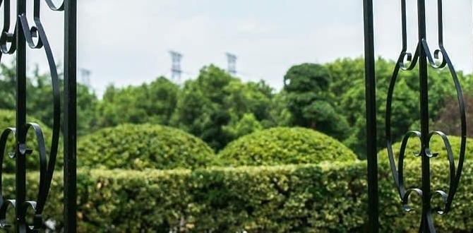 Types of metal arches metal arches for gardens Types of metal arches metal arches for gardens