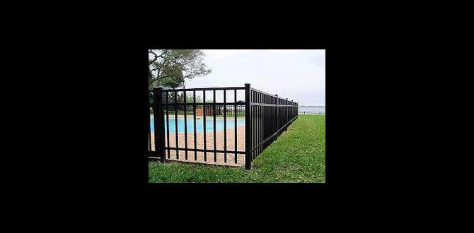 Types of metal fencing available metal fencing for gardens
