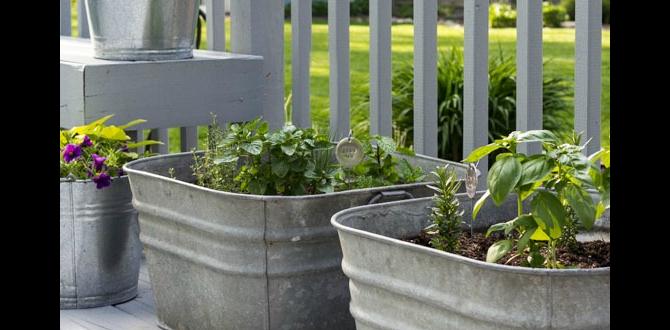 Types of metal tubs available metal tubs for gardening Types of metal tubs available metal tubs for gardening