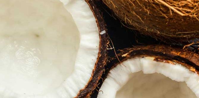 Types of plants that thrive in coconut coir coconut coir for gardening Types of plants that thrive in coconut coir coconut coir for gardening