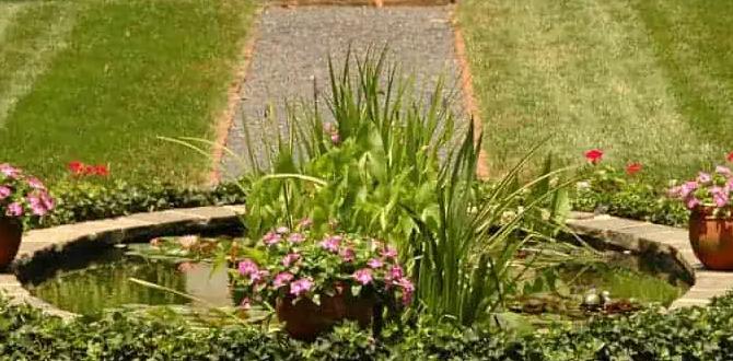 Types of ponds suitable for small spaces garden pond ideas for small gardens Types of ponds suitable for small spaces garden pond ideas for small gardens
