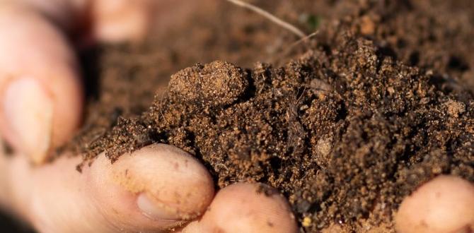 Types of potting soil potting soil for gardens Types of potting soil potting soil for gardens