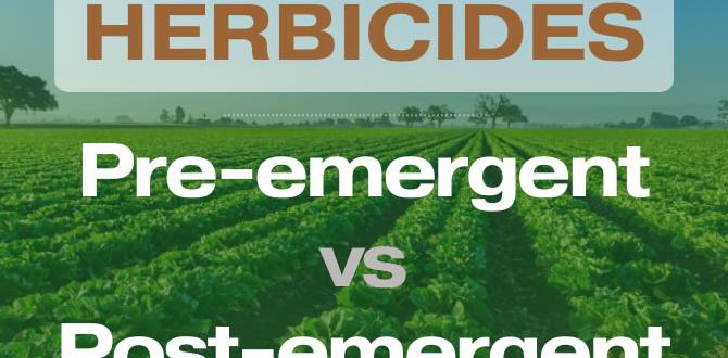 Types of pre emergent herbicides pre emergent herbicide for gardens Types of pre emergent herbicides pre emergent herbicide for gardens
