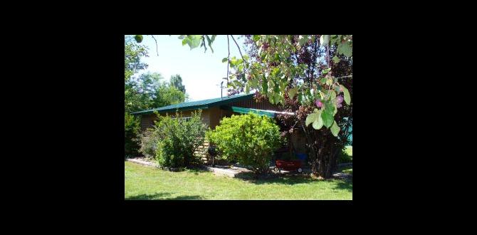 Types of rentals available fiore at the gardens for rent