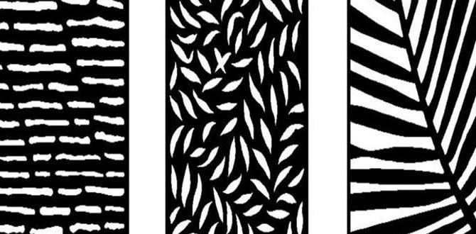 Types of screen panels screen panels for gardens Types of screen panels screen panels for gardens