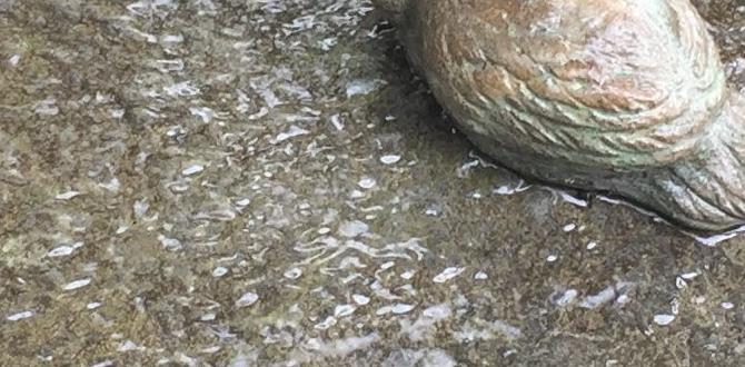 Types of small fountains small fountains for gardens Types of small fountains small fountains for gardens
