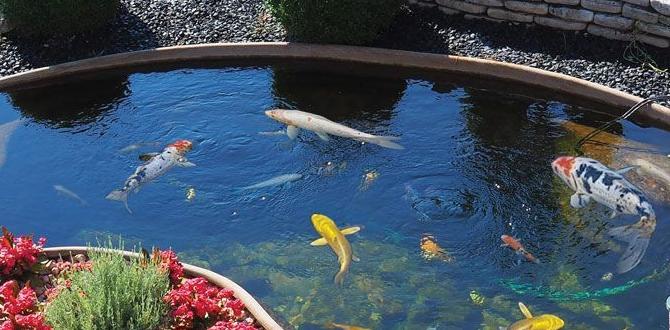 Types of small garden ponds pond designs for small gardens Types of small garden ponds pond designs for small gardens