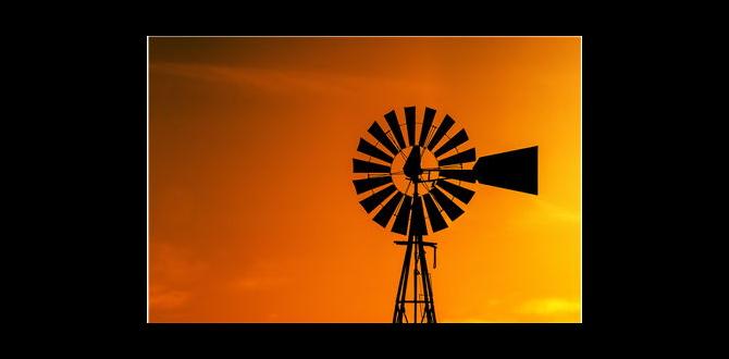 Types of small windmills small windmills for gardens Types of small windmills small windmills for gardens