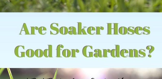 Types of soaker hoses are soaker hoses good for gardens Types of soaker hoses are soaker hoses good for gardens