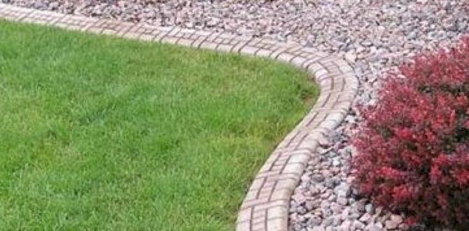 Types of stone borders stone borders for gardens Types of stone borders stone borders for gardens