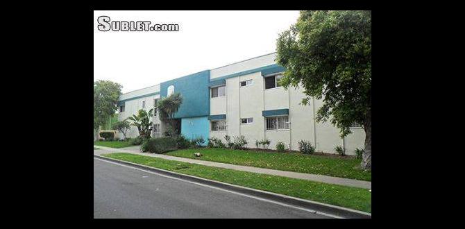 Types of studios available for rent in gardena studio for rent in gardena Types of studios available for rent in gardena studio for rent in gardena