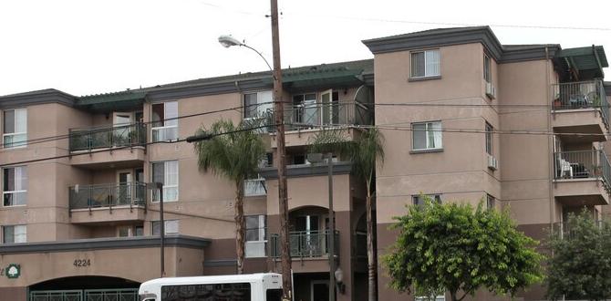 Types of studios available in bell gardens studios for rent in bell gardens Types of studios available in bell gardens studios for rent in bell gardens