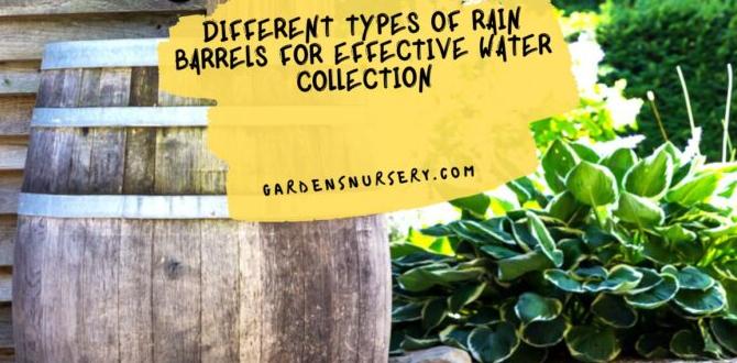 Types of water barrels available water barrels for gardens