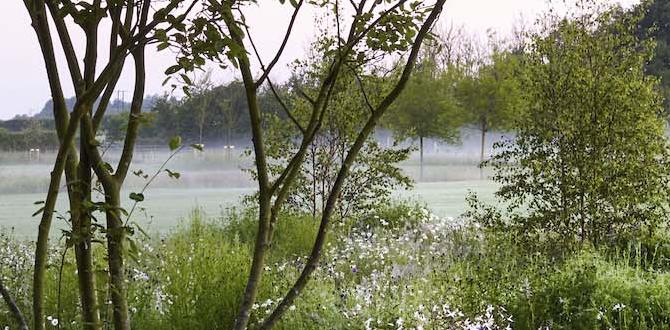 Types of water sources for gardening water for gardens Types of water sources for gardening water for gardens