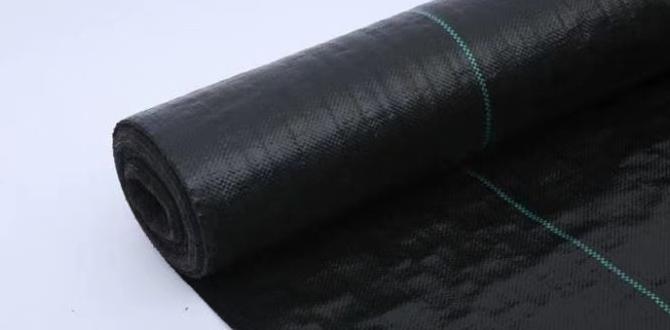 Types of weed cover materials weed covering for gardens Types of weed cover materials weed covering for gardens