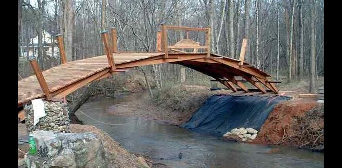Types of wood bridges for gardens wood bridges for gardens Types of wood bridges for gardens wood bridges for gardens