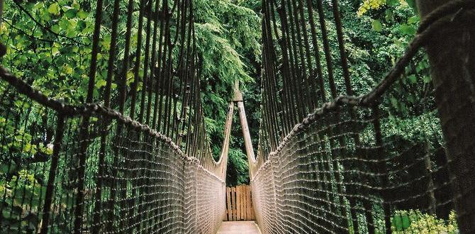 Types of wooden bridges wooden bridges for gardens Types of wooden bridges wooden bridges for gardens