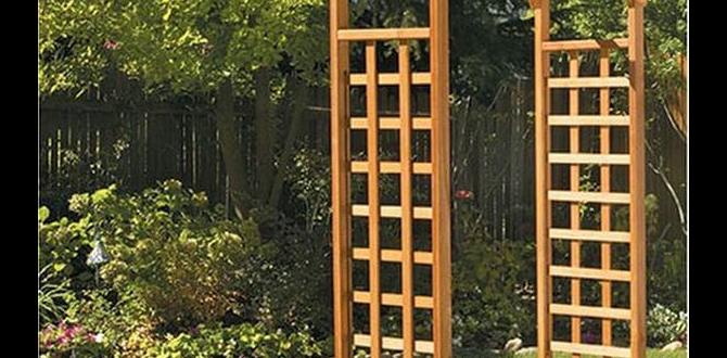Types of wooden trellises wooden trellises for gardens Types of wooden trellises wooden trellises for gardens
