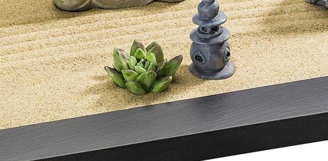 Types of zen gardens for desks zen gardens for desk Types of zen gardens for desks zen gardens for desk
