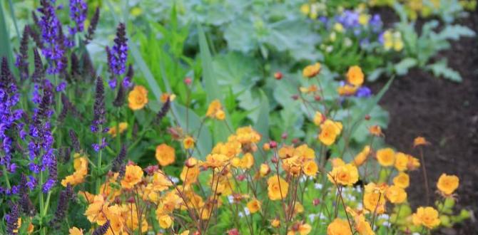 Understanding color theory in gardening color schemes for gardens