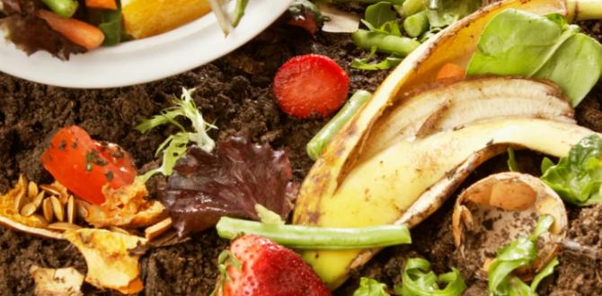 Understanding compost is compost good for gardens Understanding compost is compost good for gardens