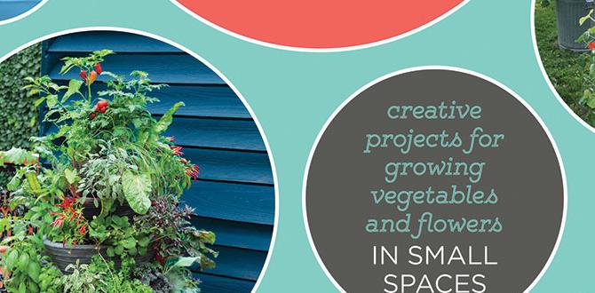 Understanding container gardens fertilizer for container gardens Understanding container gardens fertilizer for container gardens