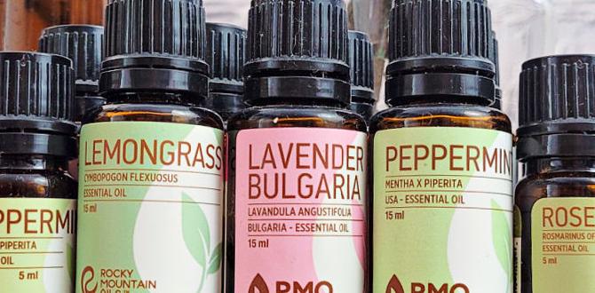 Understanding essential oils essential oils for gardening Understanding essential oils essential oils for gardening