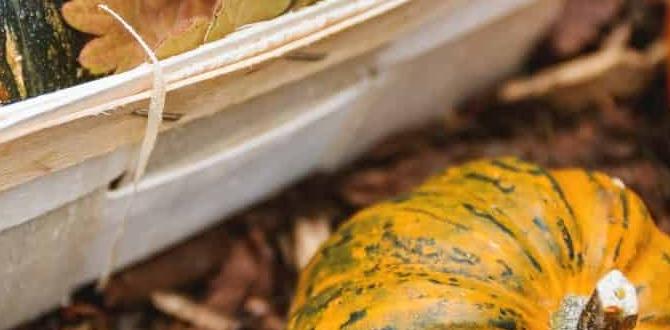 Understanding fall gardening gardening for fall