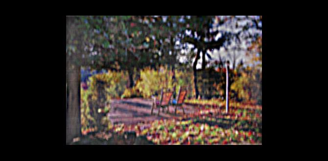 Understanding focal points in garden design focal points for gardens