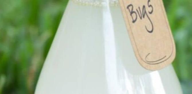 Understanding garden pests bug spray for gardens Understanding garden pests bug spray for gardens