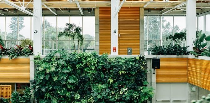 Understanding indoor gardening gardening indoors for beginners