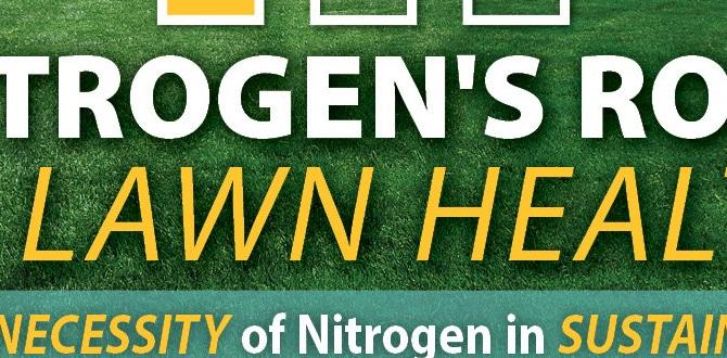 Understanding nitrogen's role in plant health nitrogen for gardens Understanding nitrogen's role in plant health nitrogen for gardens